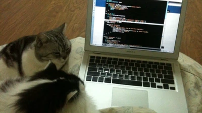 Lessons Learned by Mentoring Programmers repost. featured image