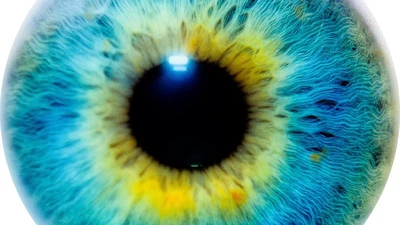 10 известных проектов с открытым исходным кодом в Iris Recognition 2018 featured image